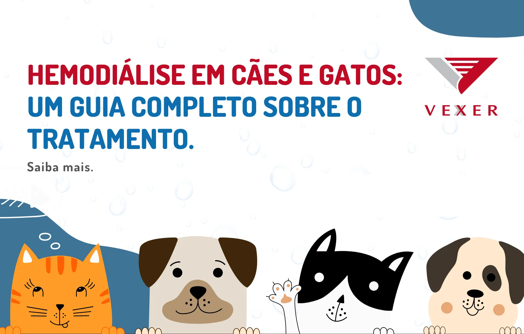 Hemodiálise em Cães e Gatos: Um Guia Completo sobre o Tratamento